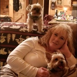 Meet your Posher, Sandy